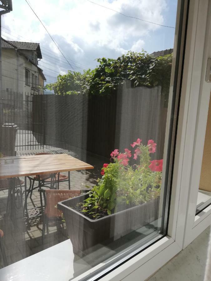 Vintage Apartment - Ultracentral, 2 Dormitoare Segesvár Kültér fotó